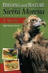 BIRDING AND NATURE TRAILS IN SIERRA MORENA 3 SEVILLE