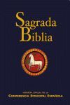 SAGRADA BIBLIA (ED. POPULAR - RÚSTICA).