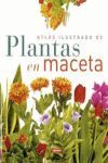 ATLAS ILUSTRADO DE PLANTAS EN MACETA / REF.851/52