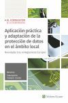 APLICACION PRACTICA Y ADAPTACIÓN DE LA PROTECCIÓN DE DATOS EN EL AMBITO LOCAL