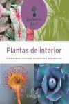 JARDINERIA FACIL  PLANTAS DE INTERIOR