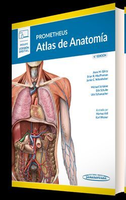 PROMETHEUS ATLAS DE ANATOMIA 4ª ED 2022