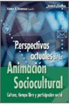 PERSPECTIVAS ACTUALES DE LA ANIMACIÓN SOCIOCULTURAL : CULTURA, TIEMPO