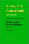 DELLA NULLITA DEL MATRIMONIO  TOMO PRIMO ARTT. 117-123 (IL CODICE CIVILE. COMMENTARIO)